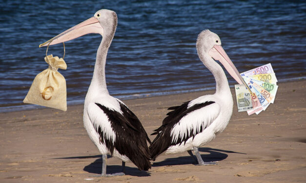 Die „Spar-Pelikane“