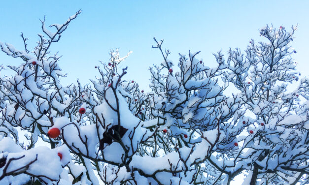 »Schneefall« – Ein symbolisches Gedicht