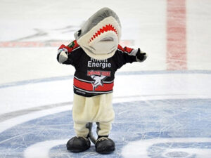 Sharky, das Maskottchen der Kölner Haie