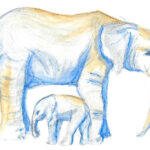 »Zeichne einen Elefanten« – Aktionstag im Kreativraum