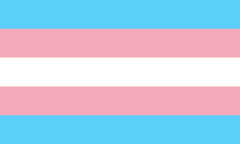 Transgender Pride-Fahne