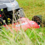 „Kein Roman ey“: Vom Linksaußen zum Greenkeeper